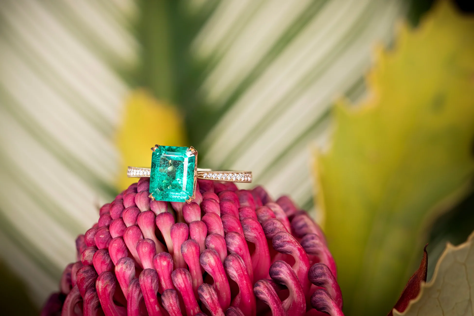 Timeless Elegance, Locally Crafted
